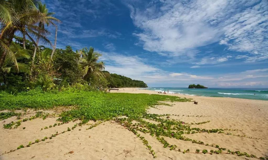Mamalu Appartement *